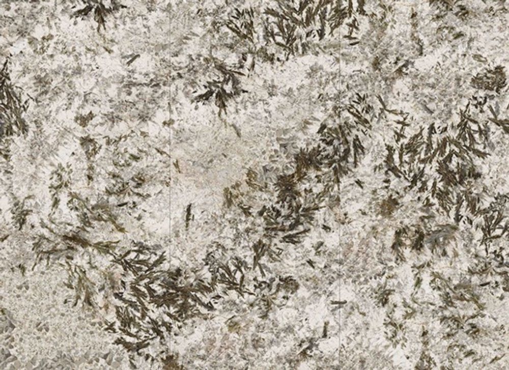 Керамогранит Frozen Fox Polished (6 мм) (MN627BP261206)