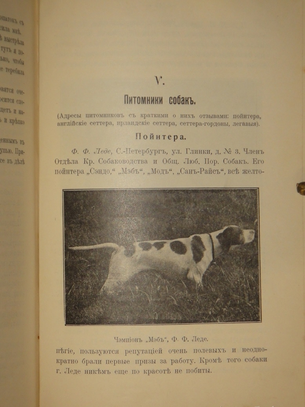 "Выбор, приобретение, содержание, дрессировка и натаска легавой". 1911г.