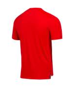 Футболка тренировочная JOGEL NATIONAL PerFormDRY Training Tee, красный