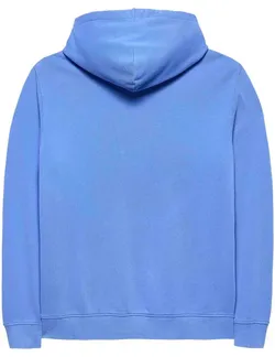 Толстовка мужская TOMMY JEANS TJM REG LA HOODIE EX