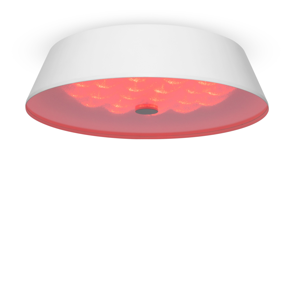 Потолочный светильник Freya FR10013CL-L24W