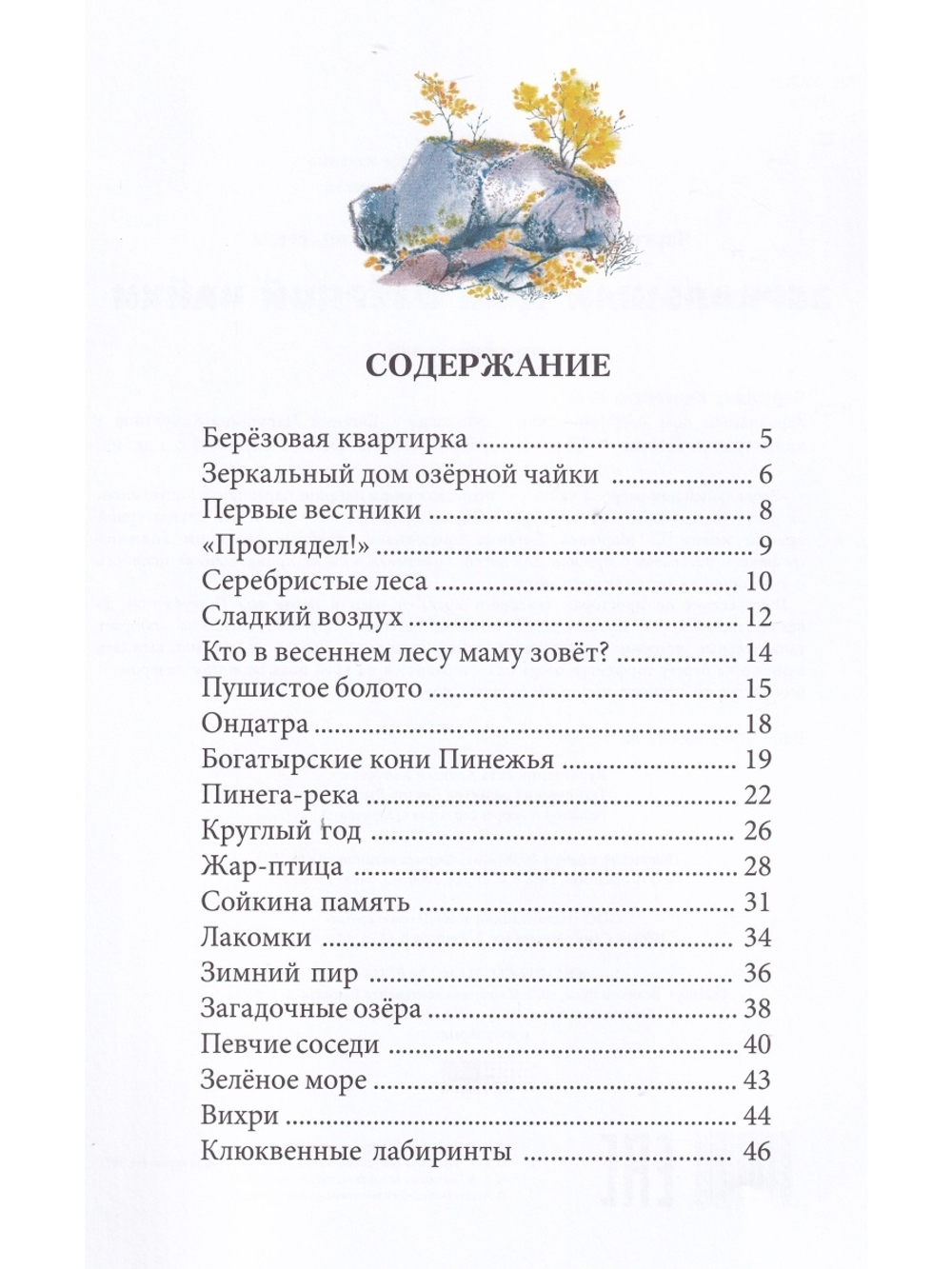 Зеркальный дом озёрной чайки