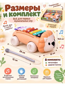 Металлофон детский Львёнок (1002E-D)