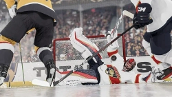 NHL 24 Стандартное издание (диск для PS4, полностью на английском языке)