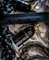 Montale Oud Dream