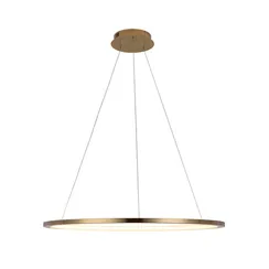 Подвесной светильник Ring 10014L Loft It