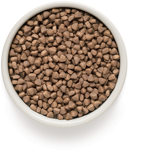 Grandorf Cat Adult Skin&Coat Care сухой корм для кошек с проблемной кожей и шерстью или склонных к аллергии, белая рыба с индейкой 2 кг
