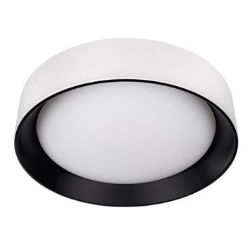 Потолочный светильник LED 36W 4000К 10202 WB белый/чёрный Coin LOFT IT