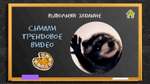 «Школьные фанты»