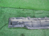 DSCN0729.JPG