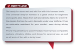 Pretty Love Harness Briefs Bobby Трусики для страпона — фото 4