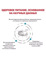 ROYAL CANIN ANALLERGENIC (Роял Канин Аналерджик) сухой корм для взрослых кошек 2 кг.