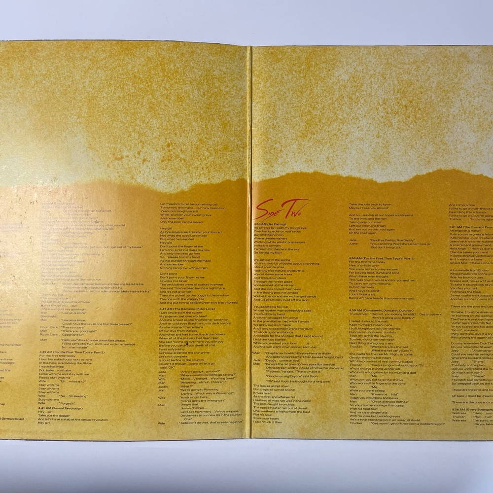 Винтажная виниловая пластинка LP Roger Waters The Pros And Cons Of Hitch Hiking (Англия 1984)