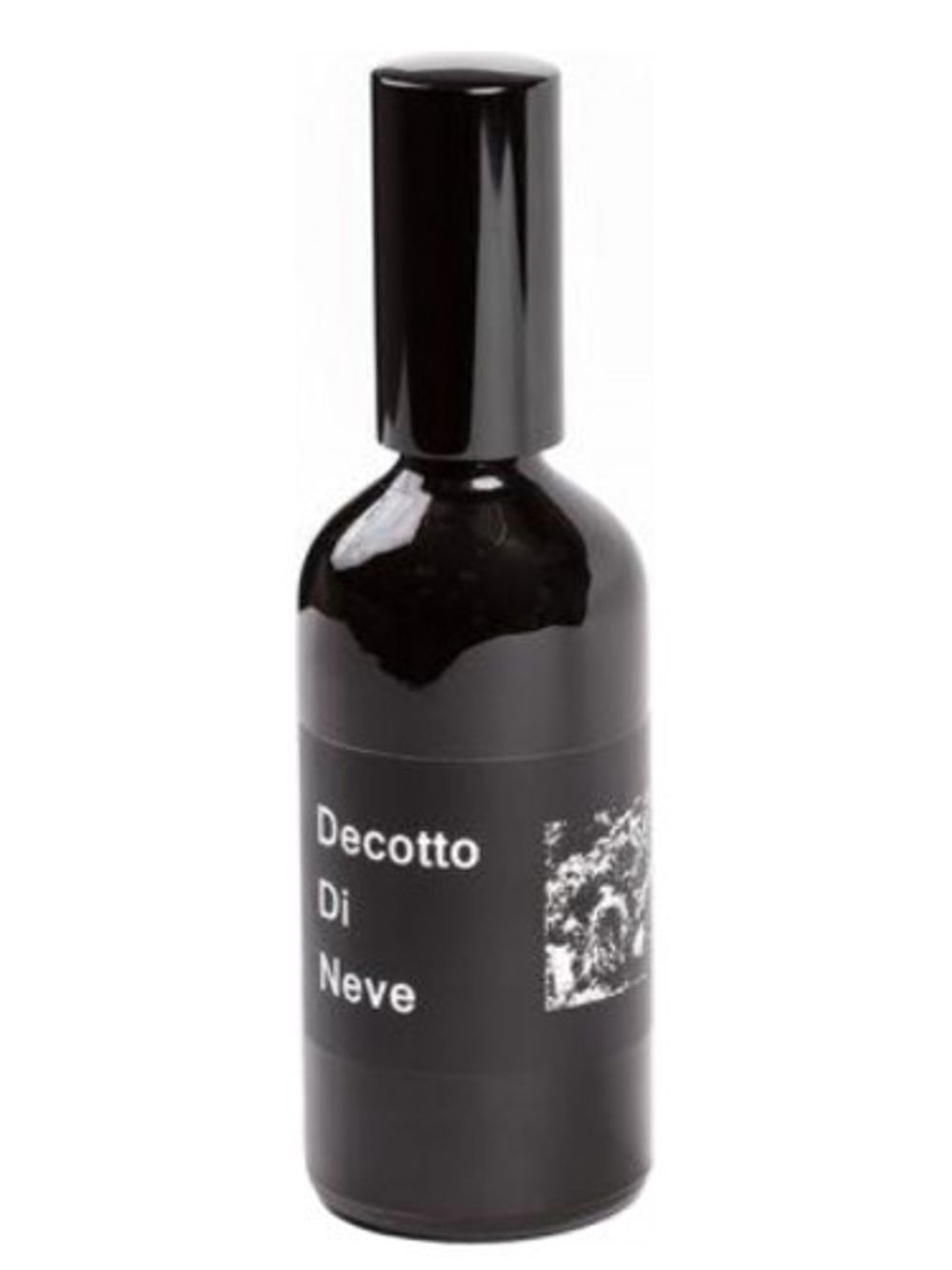 Decotto Di Neve Fiore Di Felce