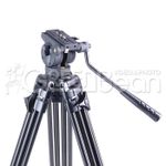 GreenBean VideoMaster 307