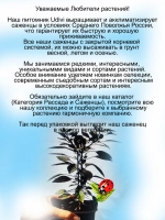 Перец Взрывоопасные угольки острый