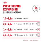 Royal Canin Maine Coon Kitten Мейн Кун Киттен Корм влажный для котят породы Мэйн Кун в возрасте до 15 месяцев соус 85г