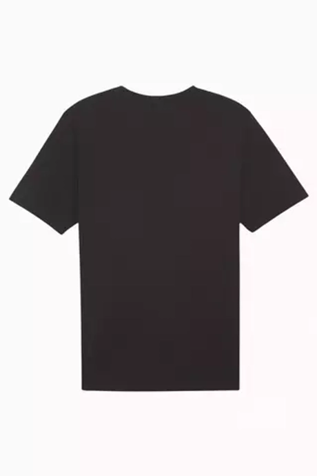 Футболка Puma teamRISE Logo