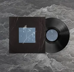 Виниловая пластинка. Bird Bone - Лейтмотив (Anchor Lights)