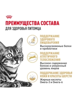 Bengal Корм для кошек бенгальской породы 400г