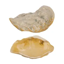 Блюдо для подачи 19,9*8 см h3,8 см емкость для закусок Pearl Shell Frutti di Mare P.L. [1]