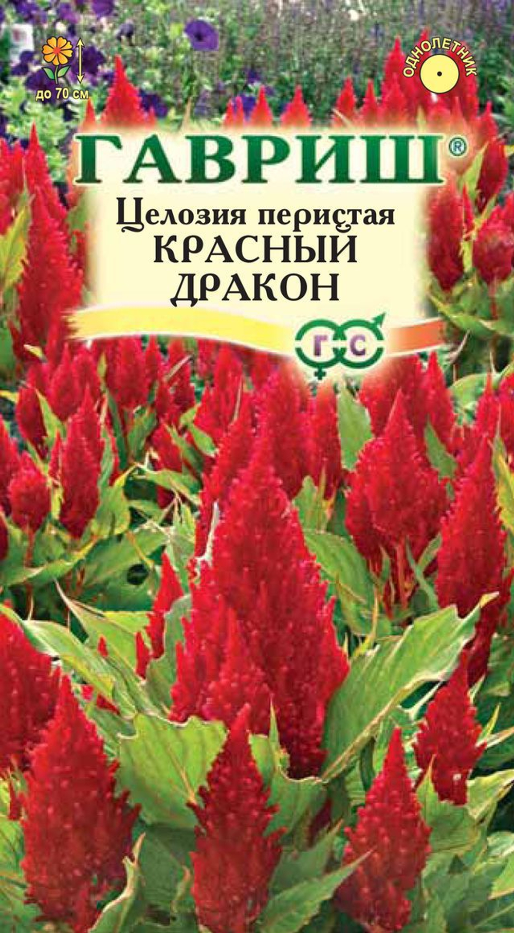 Целозия перистая Красный дракон 0,1гр Гавриш