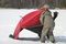 Палатка Canadian Camper ALASKA 1 Pro