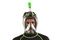 Маска полнолицевая Seac Sub Magica Black/Lime