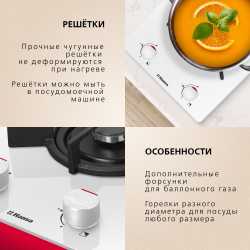 Газовая панель Hansa BHKW310300