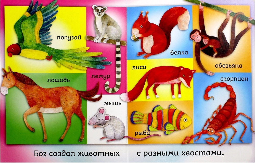 Бог создал меня