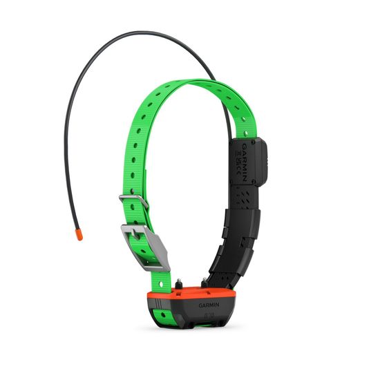 Комплект Garmin Alpha 300 (010-04347-51) + ошейник Alpha TT 25 (010-04149-21) + карта ТОПО РФ