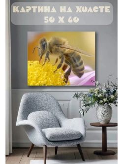 Картина на стену 40 X 50 Пчела
