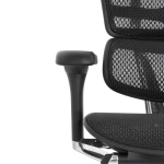 Кресло FALTO Ergohuman Elite 2 с подножкой ( чёрный каркас /сетка чёрный T-168-B1 Black )