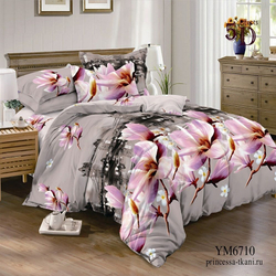 Комплект постельного белья Зима-лето Живописное утро, 2.0 спальное с евро простыней