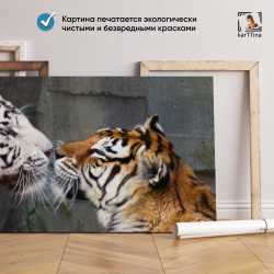 Картина karTTina "Тигриная любовь" 80х40 см