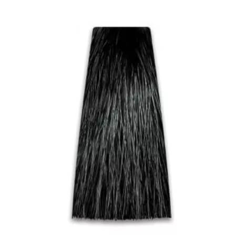 Prosalon Крем-краска для волос Intensis Color Art черный 1/0, 100 гр