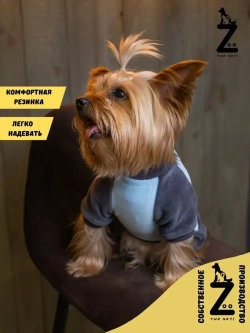 Комбинезон костюм для собак и кошек
