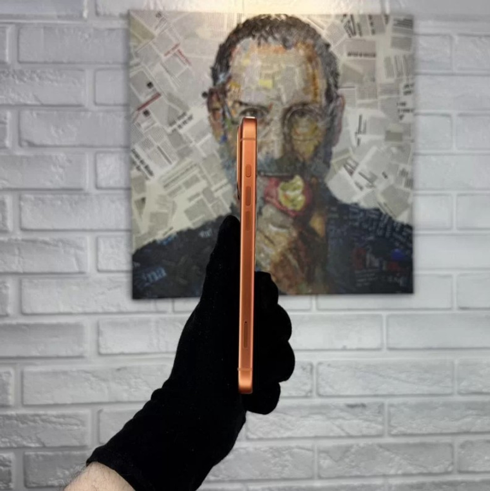 iPhone 17 Pro Max, 256 ГБ, eSIM, б/у