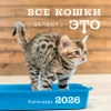 Все кошки делают это. Календарь настенный на 2026 год (300х300)