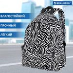 Рюкзак BRAUBERG универсальный, сити-формат, "Zebra", 20 литров, 41х32х14 см, 271680