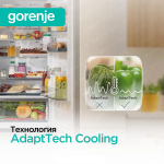 Отдельностоящий двухкамерный холодильник Gorenje NRK6201PW4