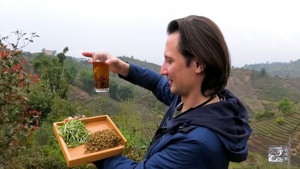 Производство чая Дяньхун на горе Ин Пань Шань Производство чая Дяньхун на горе Ин Пань Шань