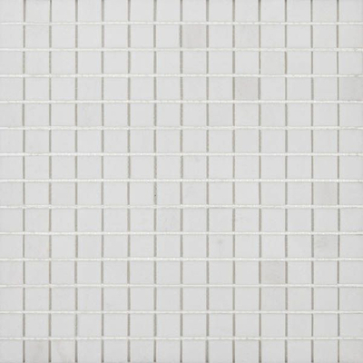 Мозаика STN5204P (20x20)