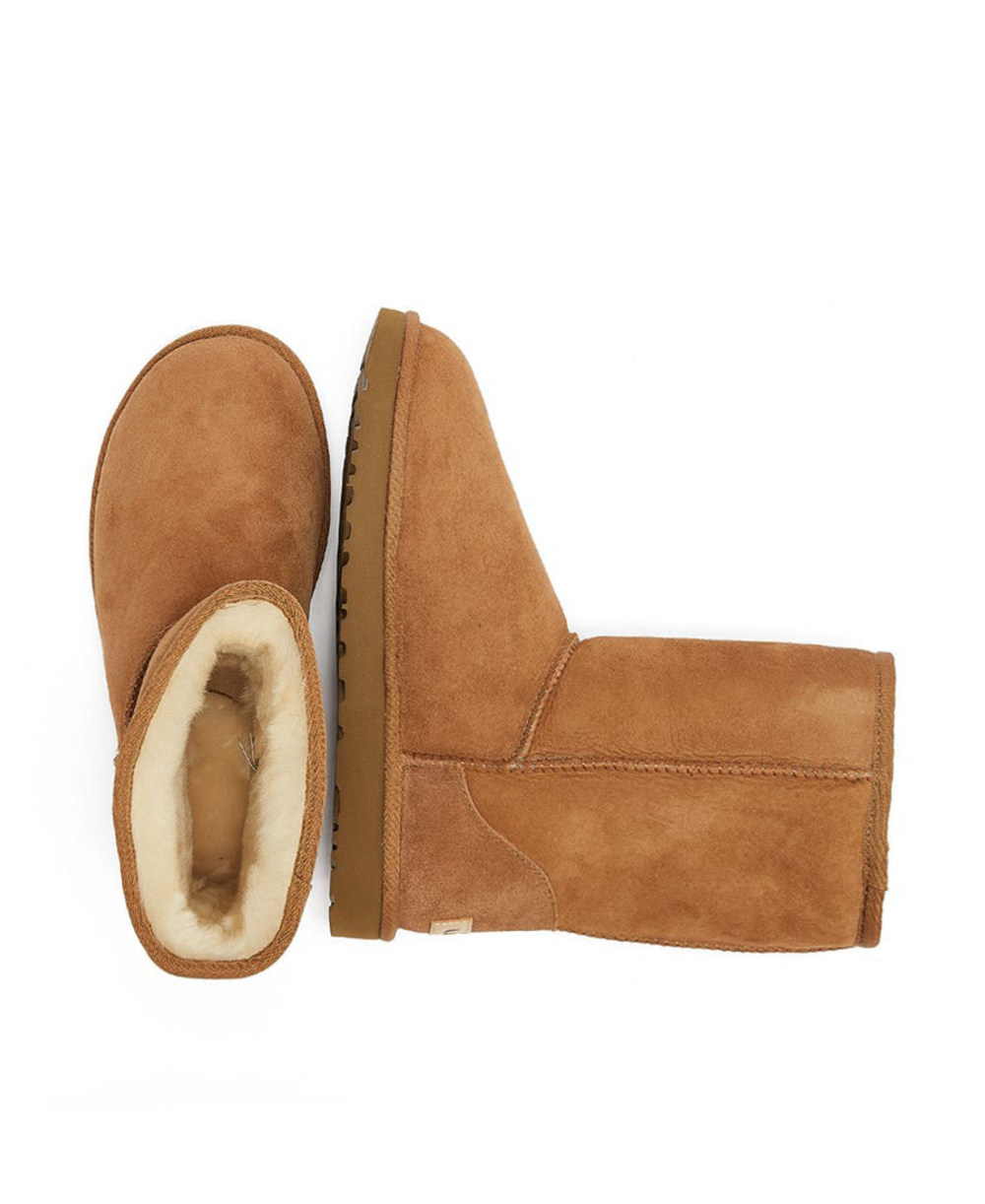 MEN'S CLASSIC SHORT II Chestnut