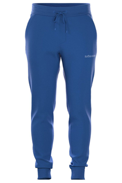 Мужские теннисные брюки Bj_rn Borg Essential 3 Sweatpants — sargasso sea