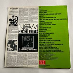 Винтажная виниловая пластинка LP The Electric Prunes Long Day's Flight (Англия 1986)