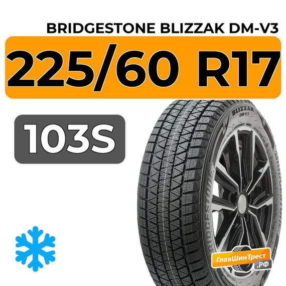 Bridgestone Blizzak DM-V3 225/60 R17 103S