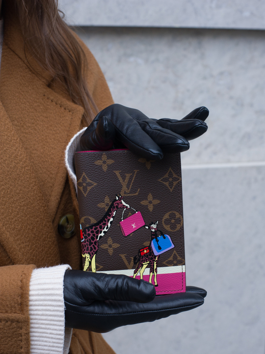 Louis Vuitton Обложка для паспорта