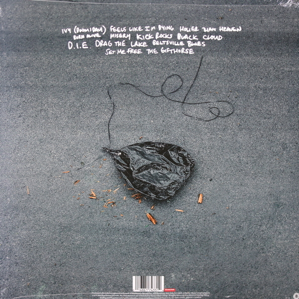 The Amity Affliction / Misery (LP)