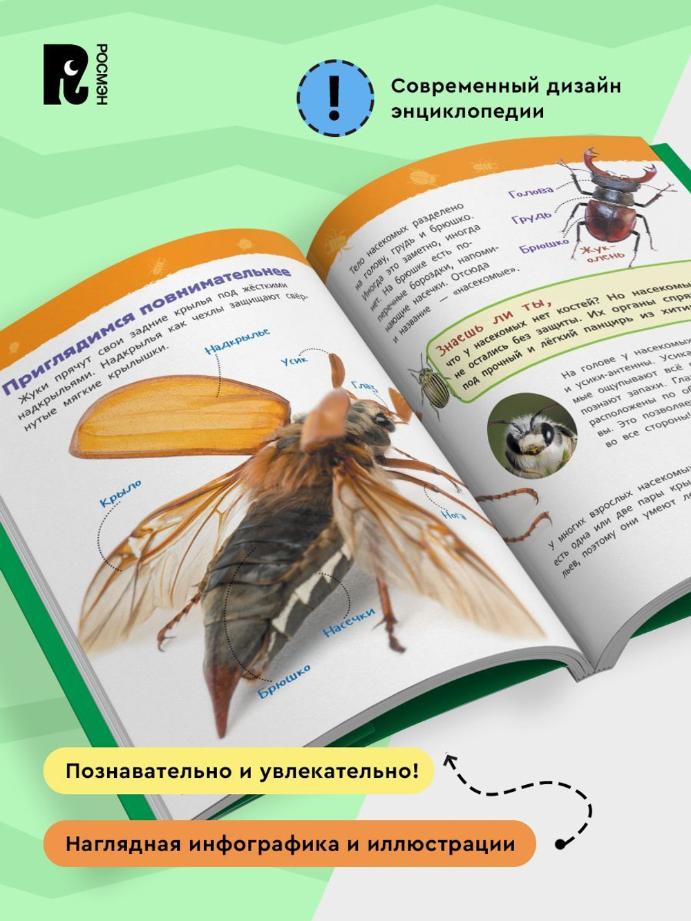 Насекомые (Энциклопедия для детского сада)